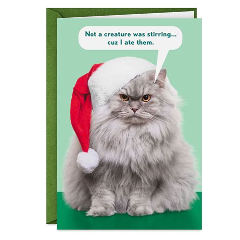 Santa Cat Funny Christmas Card - Greeting Cards - Hallmark