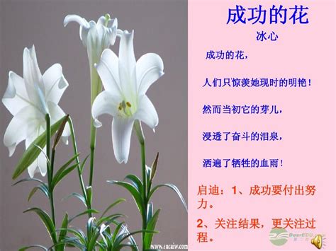 2012年秋学期八年级语文上册 《心田上的百合花开》课件 鲁教版word文档在线阅读与下载无忧文档