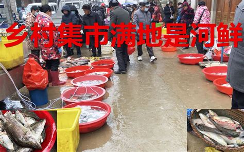 下雨天乡村集市河鱼河鲜真丰富，小伙赶集逛爽了，这个鱼米之乡的乡亲们真有口福啊哔哩哔哩bilibili