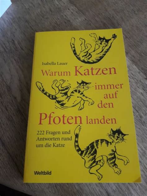 WARUM KATZEN IMMER Auf Den Pfoten Landen 222 Fragen Und Antworten Von