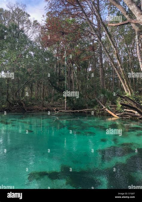 Weeki Wachee Hi Res Stock Photography And Images Alamy