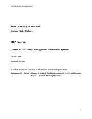 Docx Mis Module Assignment State University Of New York