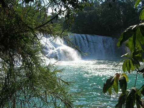 Agua Azul Waterfalls | | Alluring World