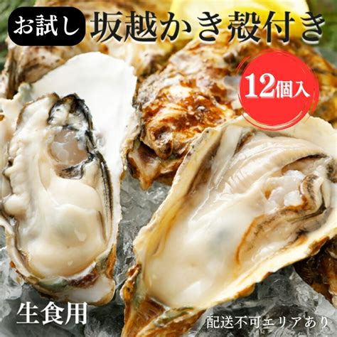 【楽天市場】【ふるさと納税】牡蠣 お試し 坂越かき 殻付き牡蠣 12個 軍手・オイスターナイフ付き 生牡蠣 かき カキ 殻付 生食 一人暮し