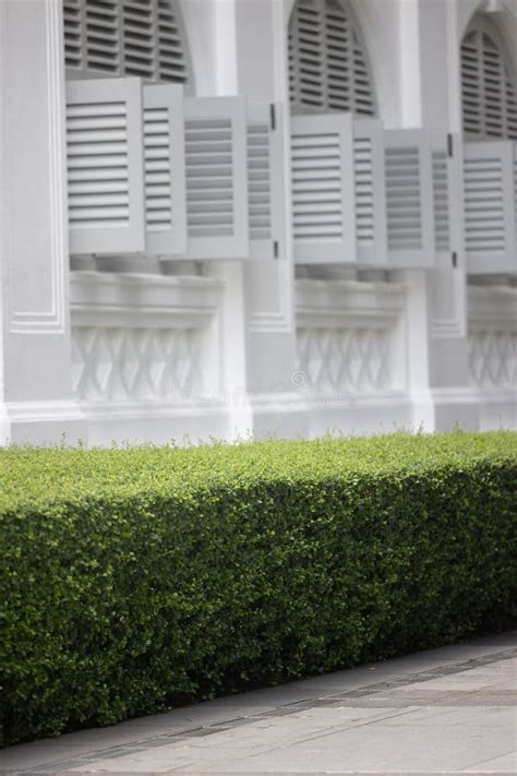 A Green Street In Singapore With Old Colonial Architecture Stock Photo