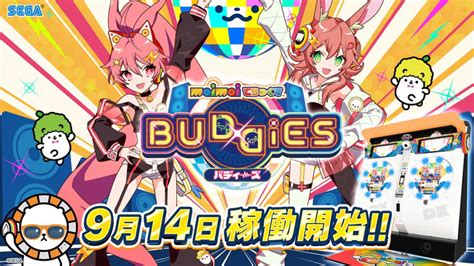 maimai DX BUDDiES 稼动新信息 哔哩哔哩