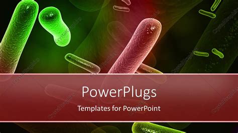 Classification Of Bacteria Power Point Templates And Backgrounds Free