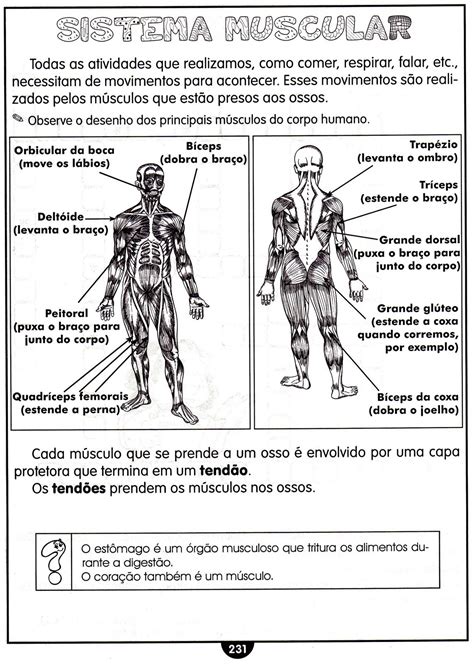 CLUBE DA COR ATIVIDADES ESCOLARES ATIVIDADES DE CIÊNCIAS SISTEMA