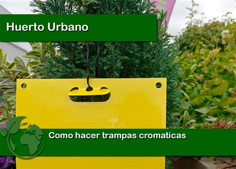 Como Hacer Trampas Cromaticas Huerto Urbano