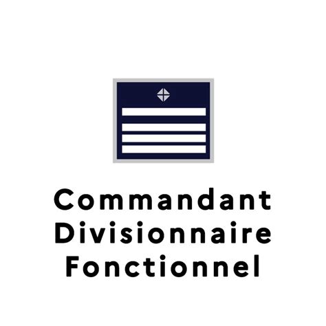 Tout Savoir Sur Les Grades Et Galons De La Police Nationale