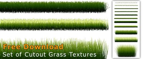 Grass PNG Cutouts with Transparent Background for Photoshop – Free Download