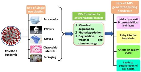 Water Free Full Text Microplastics In The Ecosystem An Overview On Detection Removal