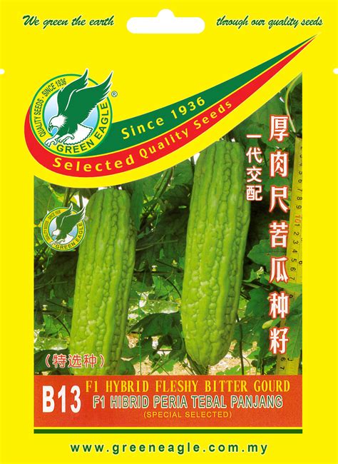 B13 F1 Hybrid Fleshy Bitter Gourd Green Eagle Seeds