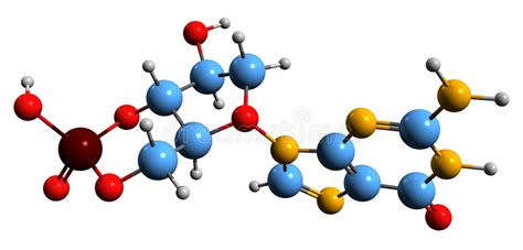 Cyclic Guanosine Monophosphate Or Cgmp Molecule Skeletal Formula