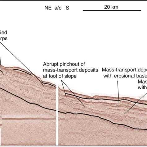 Dip Seismic Reflection Profile Illustrating Pinchout Of Mass Transport Download Scientific