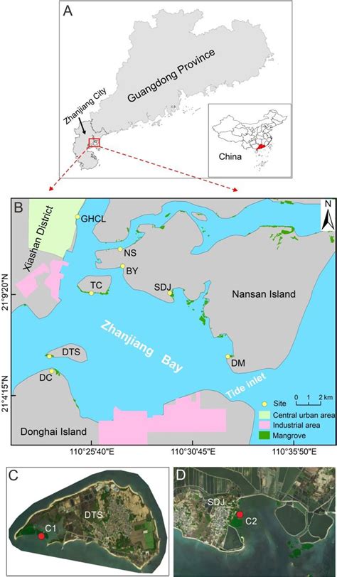 Frontiers Heavy Metal Pollution Status And Deposition History Of