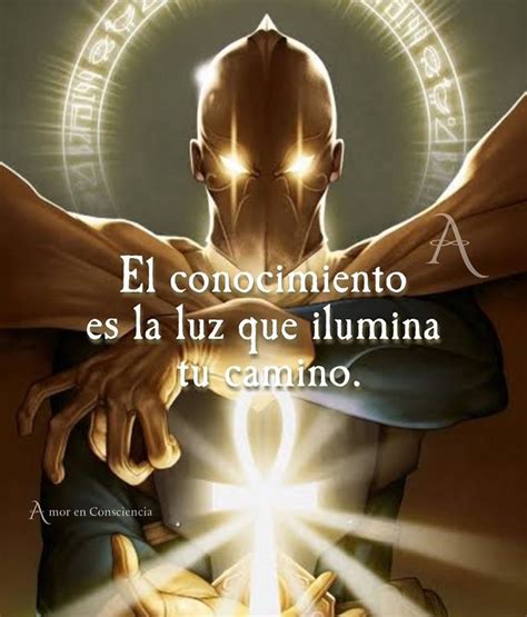 El Conocimiento Es La Luz Que Ilumina Tu Camino Frases