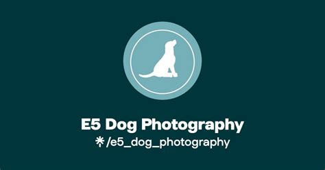 Dog Photographer Linktree