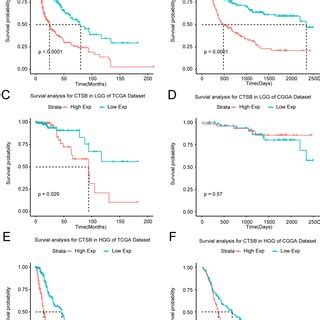 Comparison Of The Expression Of Ctsb In Gliomas Of Different Who