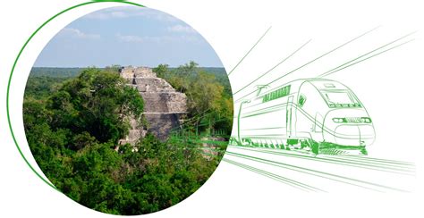 Los ecosistemas que hay a lo largo de la construcción del tren maya