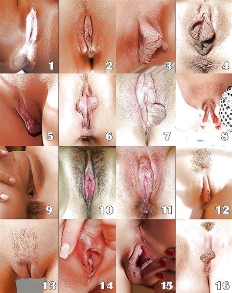 Whats Your Favorite Type Of Pussy 8 Pics