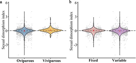 Difference Of Sexual Size Dimorphism Within Reproduction And Clutch