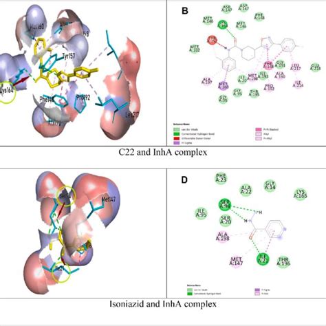 10 Ns Molecular Dynamics Simulation MDS RMSD Of Free Protein And