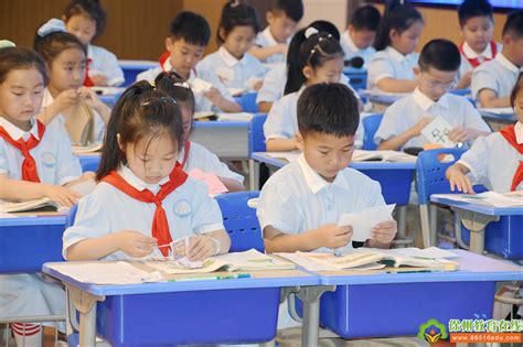 大马·九龙教研丨新课标·新课堂：学习任务群视域下的小学语文单篇教学研讨暨彭苏华名师工作室观课议课活动徐州新闻徐州教育新闻徐州教育网徐州教育在线