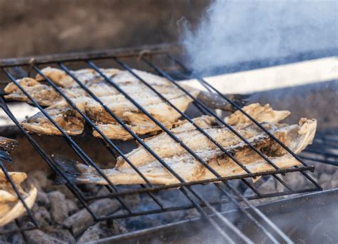 Tips On How To Grill Freshwater Fish BBQ Champs Academy