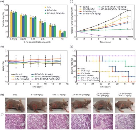 A Cell Viability Of Eca 109 Cells Incubated With 5 Fu Zif 85 Fu