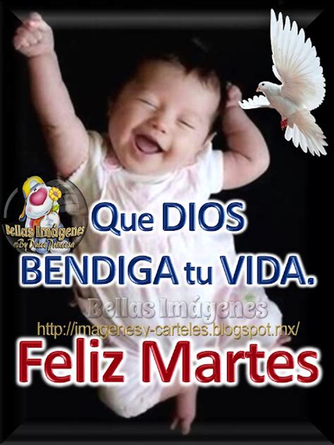 Imágenes y Carteles Que DIOS BENDIGA tu VIDA FELIZ MARTES