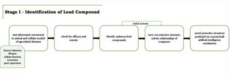 Identification of Lead Compound | Gilga-Med Inc.