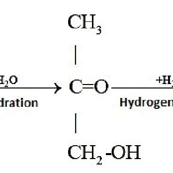 Mechanism of the hydrogenolysis of glycerol to 1,2 propanediol [4]. | Download Scientific Diagram