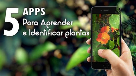 Top Apps Para Aprender E Identificar Plantas