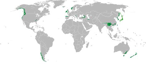 142 Biomas Mundiais Floresta Temperada e Vegetação Desértica Blog