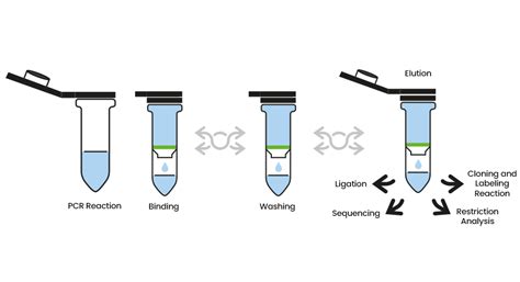 Danagene Clean Up Pcr Kit Danagen