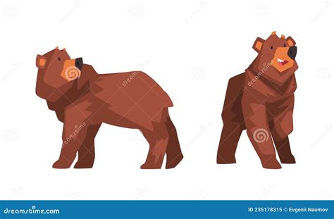 Wild Brown Grizzly Bear As Forest Habitant In Standing Pose Vector Set