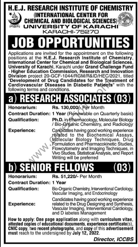 University Of Karachi Jobs July 2022