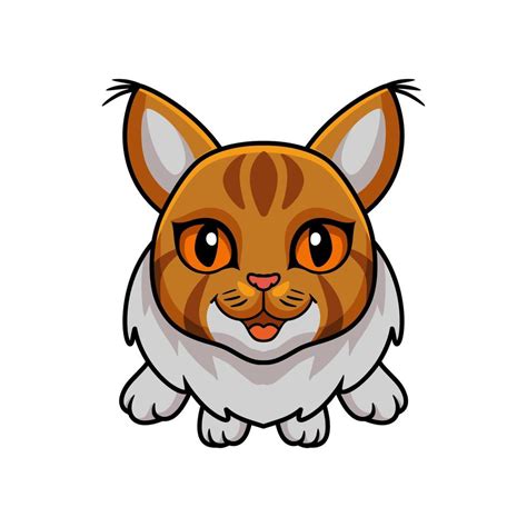 Cute Maine Coon Cat Cartoon Flying 16185526 Vector Art At Vecteezy