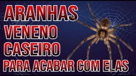 Veneno Caseiro Para Aranhas Como Acabar De Uma Vez Aranhas HPG