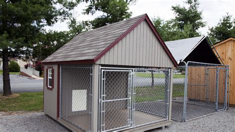 Boy Found Locked In Dog Kennel Said He Had Been Living Outside Since