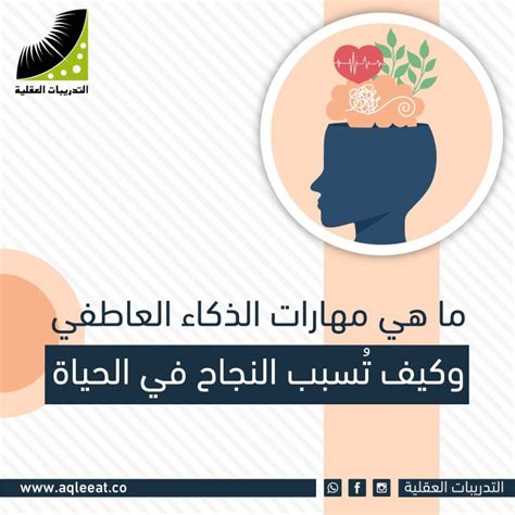 مهارات الذكاء العاطفي وكيف تُسبب النجاح في الحياة التدريبات العقلية