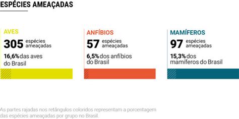 Plataforma Apresenta Dados In Ditos Sobre A Biodiversidade Brasileira