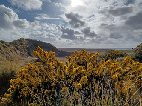 Burnham Market, Norfolk added a... - Burnham Market, Norfolk