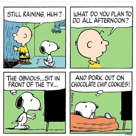 Rainy Day Snoopy Comics Snoopy Funny Snoopy Cartoon