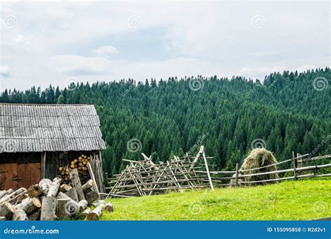 Harvesting Firewood And Hay In The Village Stock Photo Image Of