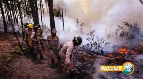 Incendios Forestales Devastan Miles De Hectáreas En Honduras Advierte