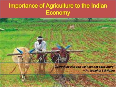 Indian Agriculture Sector