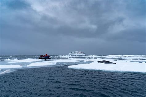 Spirit Of Antarctica Expedition 23 24 Aurora Expeditions