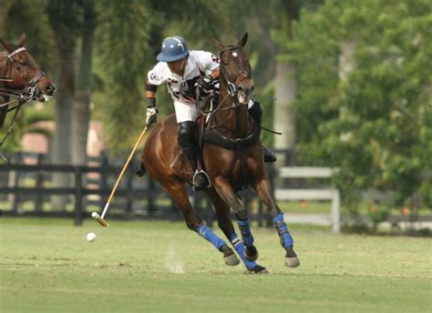 Postage Stamp Farm Wins USPA Fall Classic at Grand Champions ...